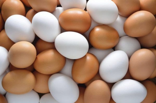 Eiers kalorieë en voedingstowwe