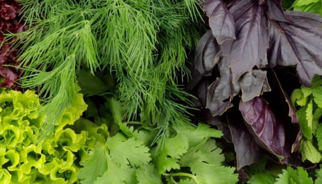 हिरव्या भाज्या उष्मांक आणि पोषक
