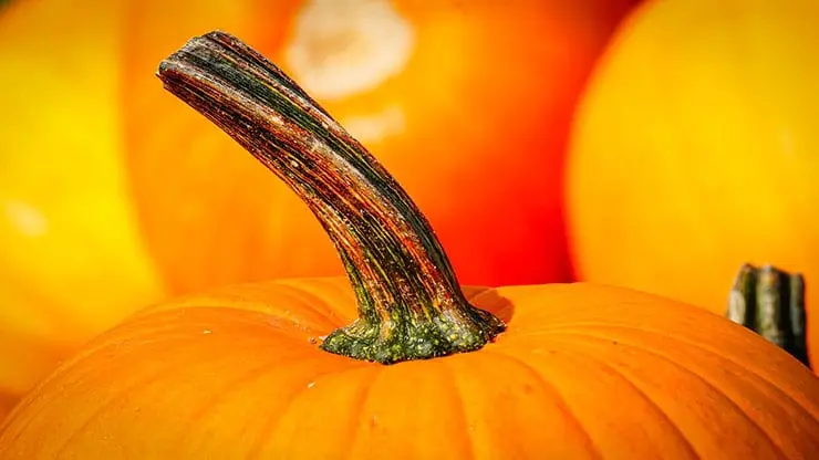 How useful are yellow vegetables