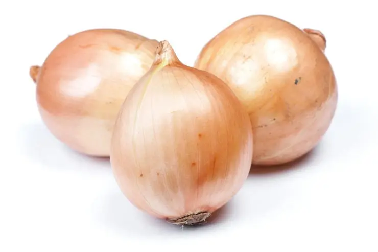 Black marks: when the onions can be a toxic threat