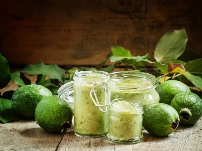 Feijoa &#8211; what are the benefits to the human body