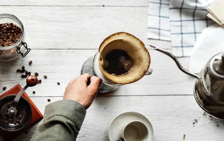 Fungal and Transparent coffee