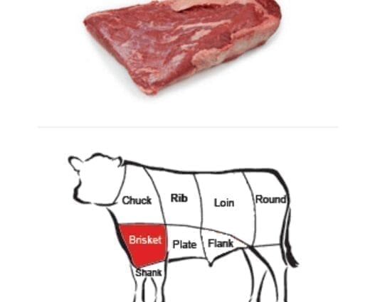 Lamb, brisket flesh &#8211; calories and nutrients