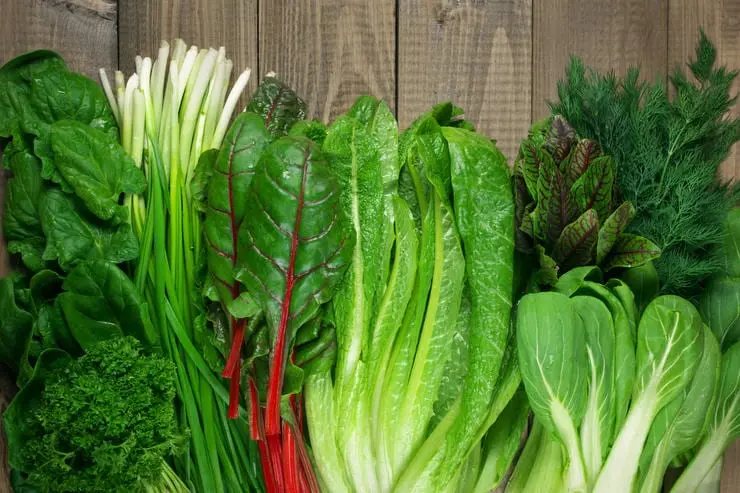 Professor named TOP 7 most useful herbs and vegetables