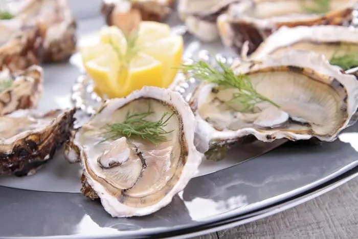 Everything you need to know about oysters