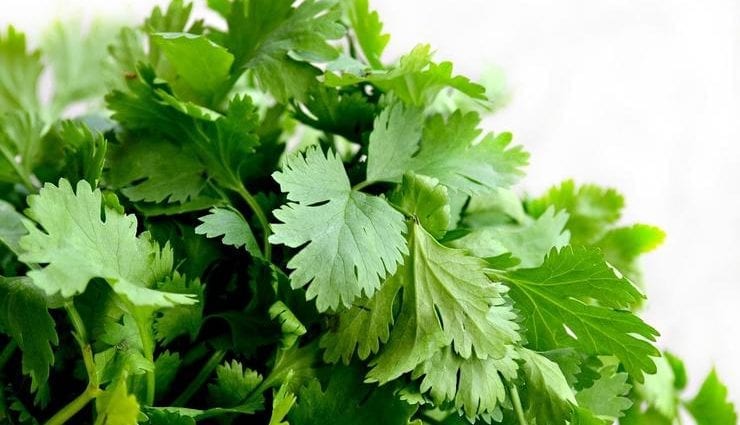 What happens in the body when we eat cilantro