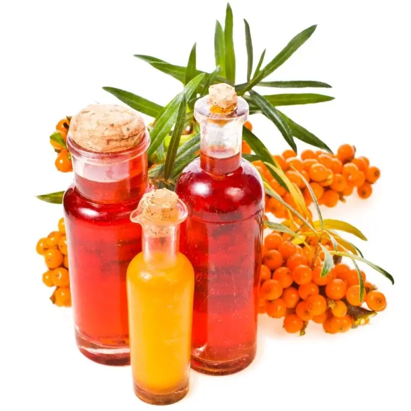 Sea buckthorn oil &#8211; description of the oil. Health benefits and harms