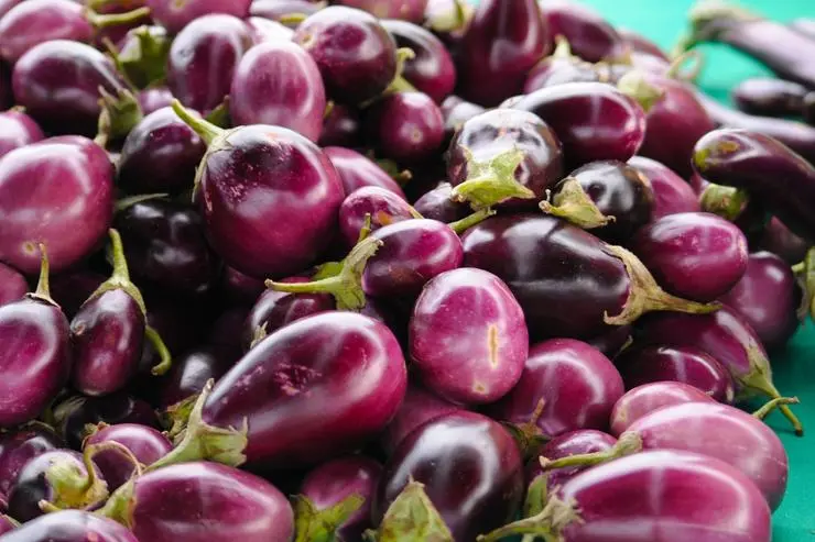 Brain Food: how useful is the eggplant