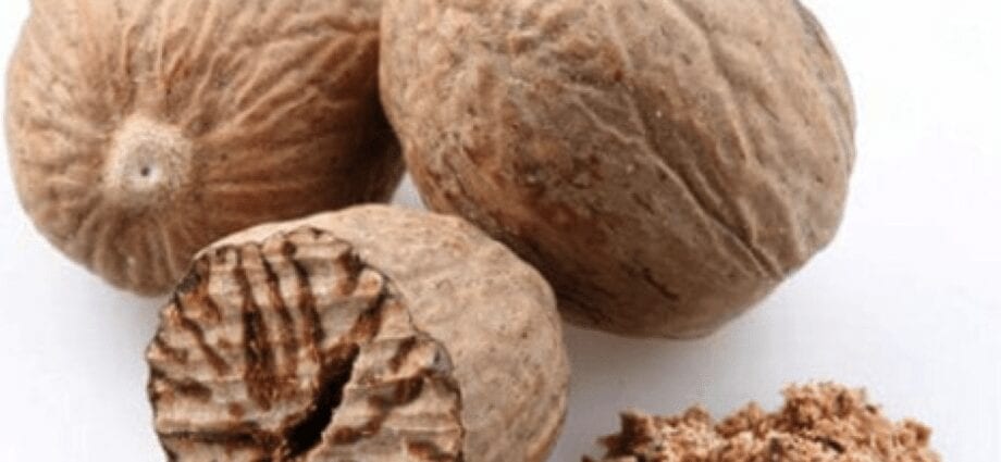 Nutmeg &#8211; description of the nut. Health benefits and harms