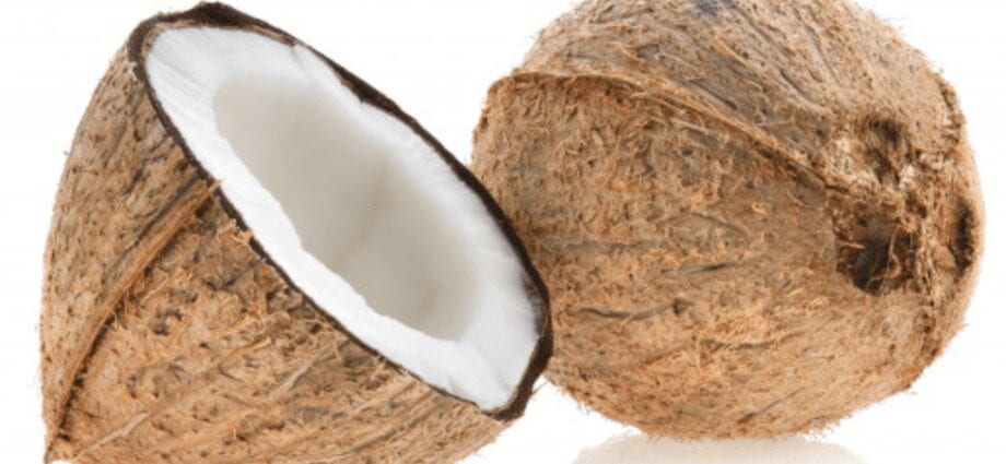 Coconut &#8211; description of the nut. Health benefits and Harms