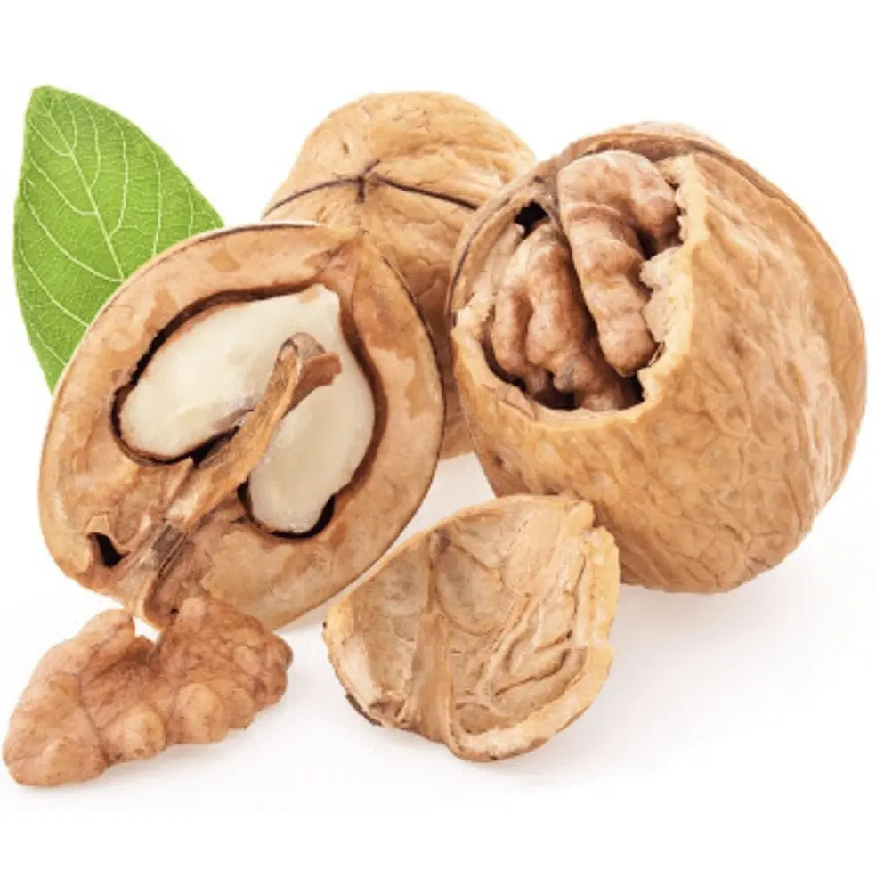 Walnuts &#8211; description of the nut. Health benefits and harms