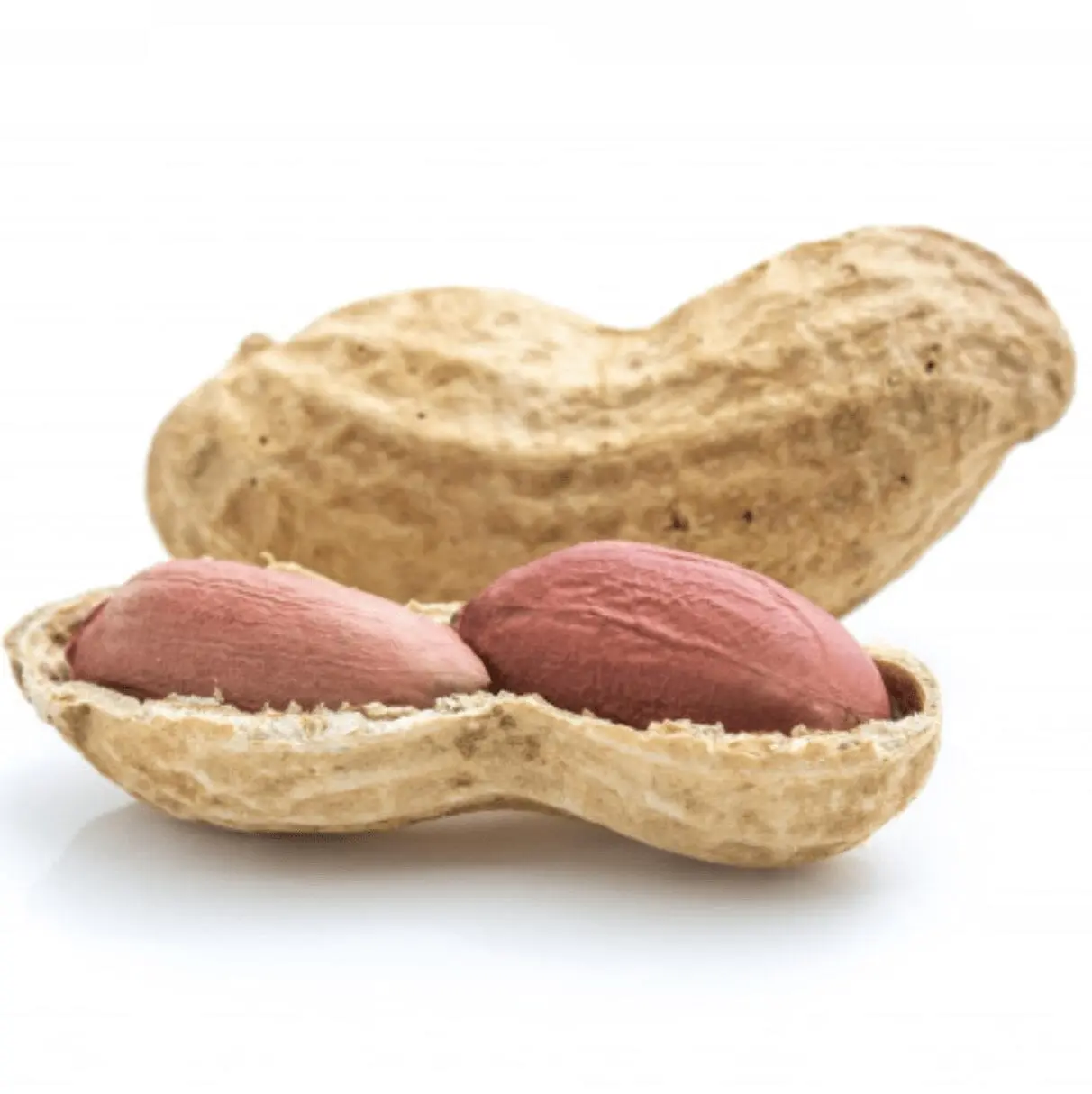 Peanuts &#8211; Description of the nut. Health benefits and harms