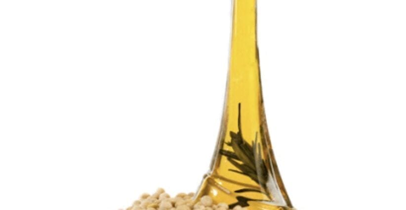 Soybean oil – oil description.豆油–油的描述。 Health benefits and harms健康的好处和危害