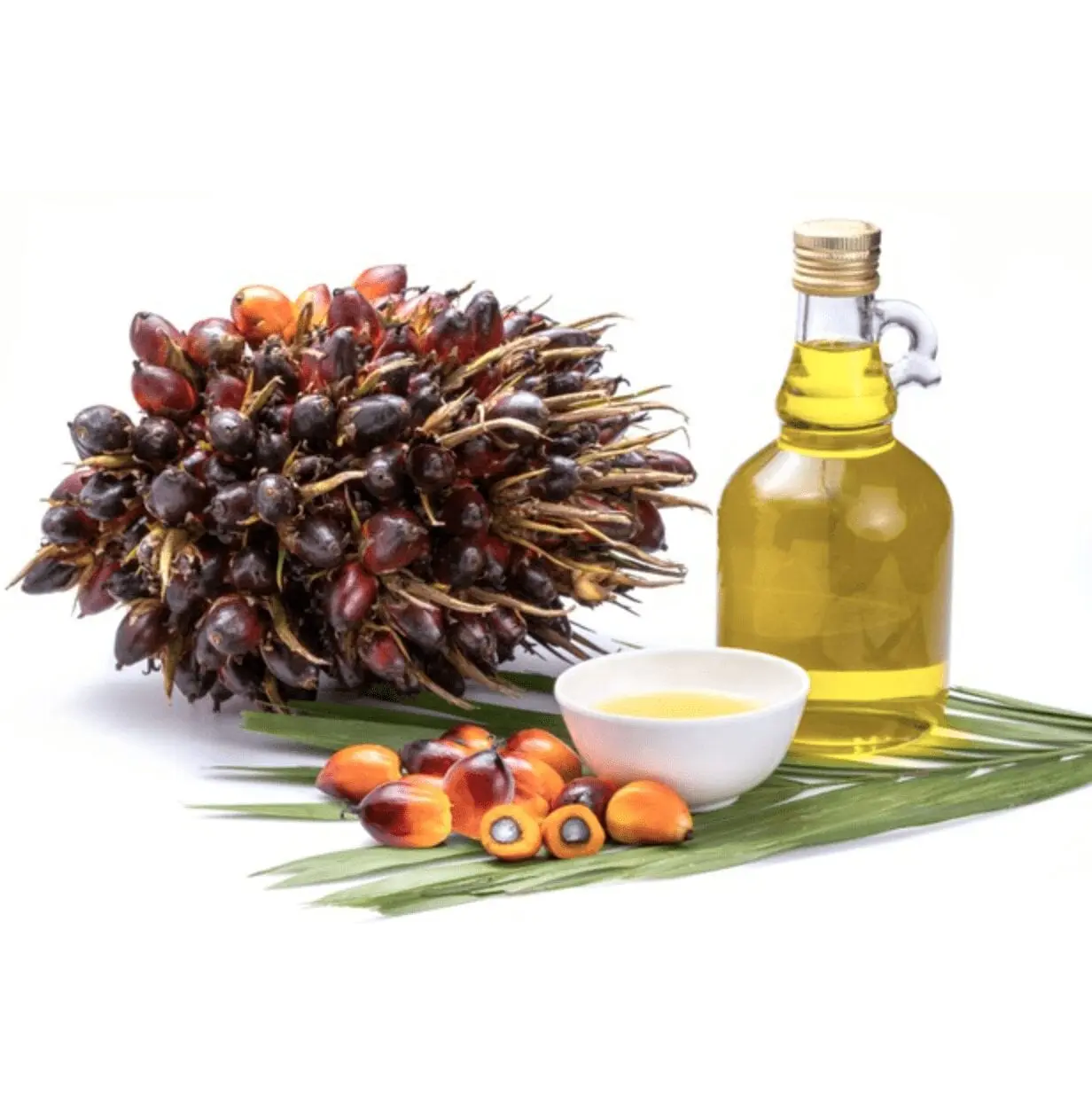 Palm oil &#8211; oil description. Health benefits and harms