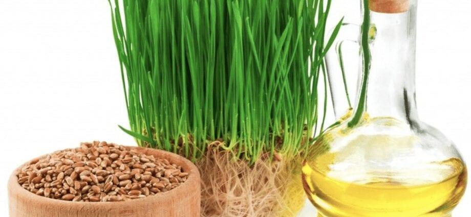 Wheat germ oil – description of the oil.小麥胚芽油–對油的描述。 Health benefits and harms健康益處和危害