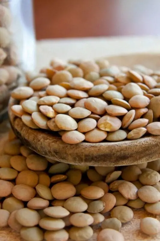 Lentils, Mature seeds, cooked, with salt