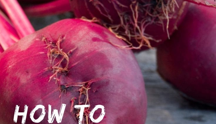 4 ways to cook beets