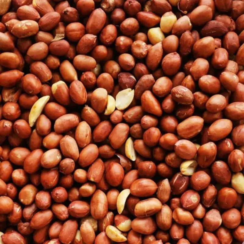 Roasted Peanuts without oil, without salt