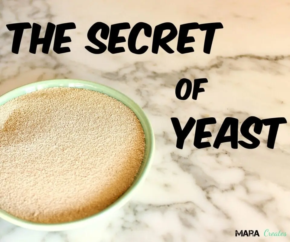 All the secrets of yeast dough