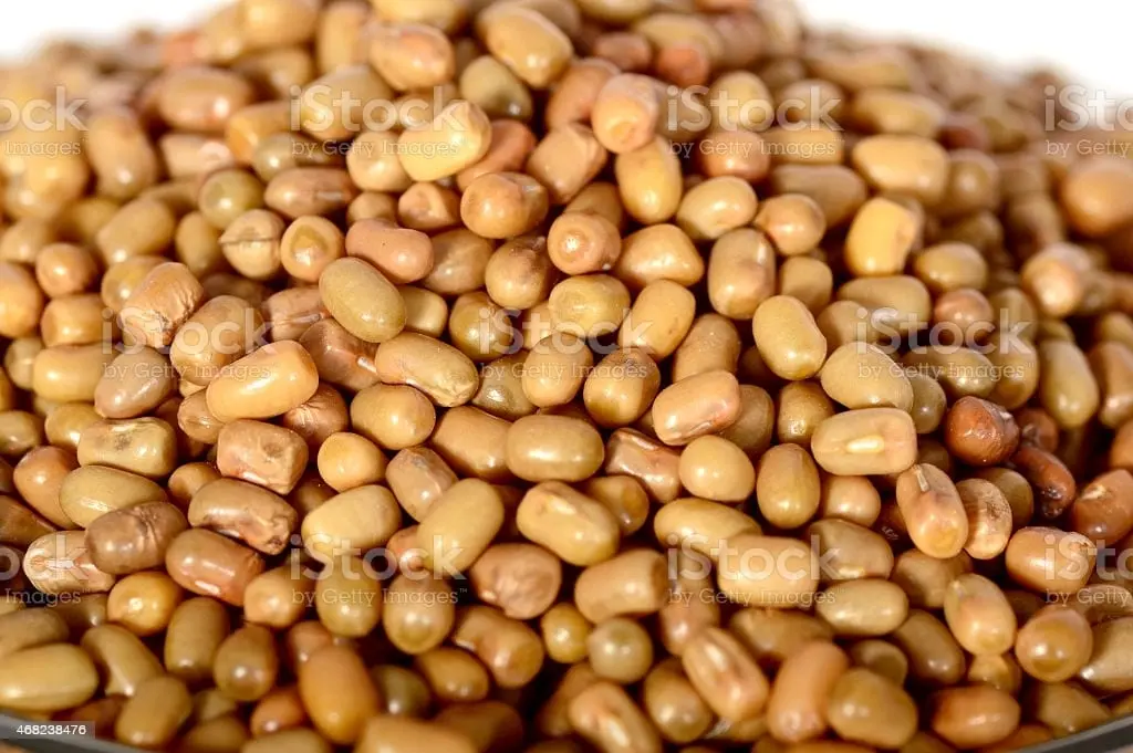 Beans butterfly (mothbeans)