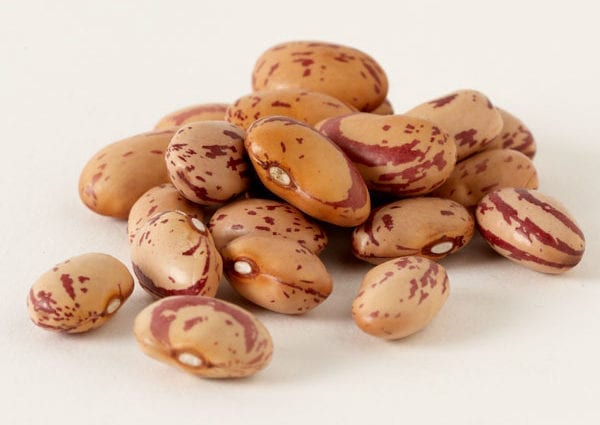 Beans, cranberry (Roman beans, cherry borlotti), Mature seeds, cooked, without salt