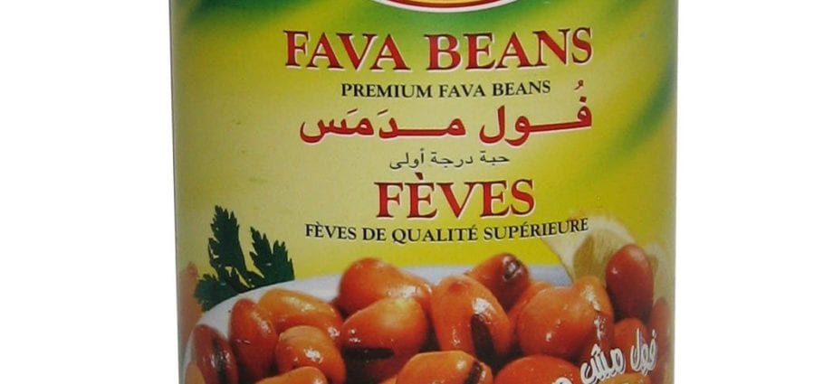 Beans (Fava beans), canned