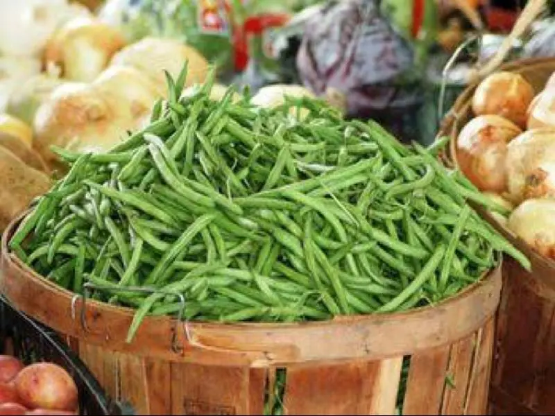 Beans, French, Mature seeds, raw