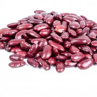 Beans kidney red, Royal, Mature