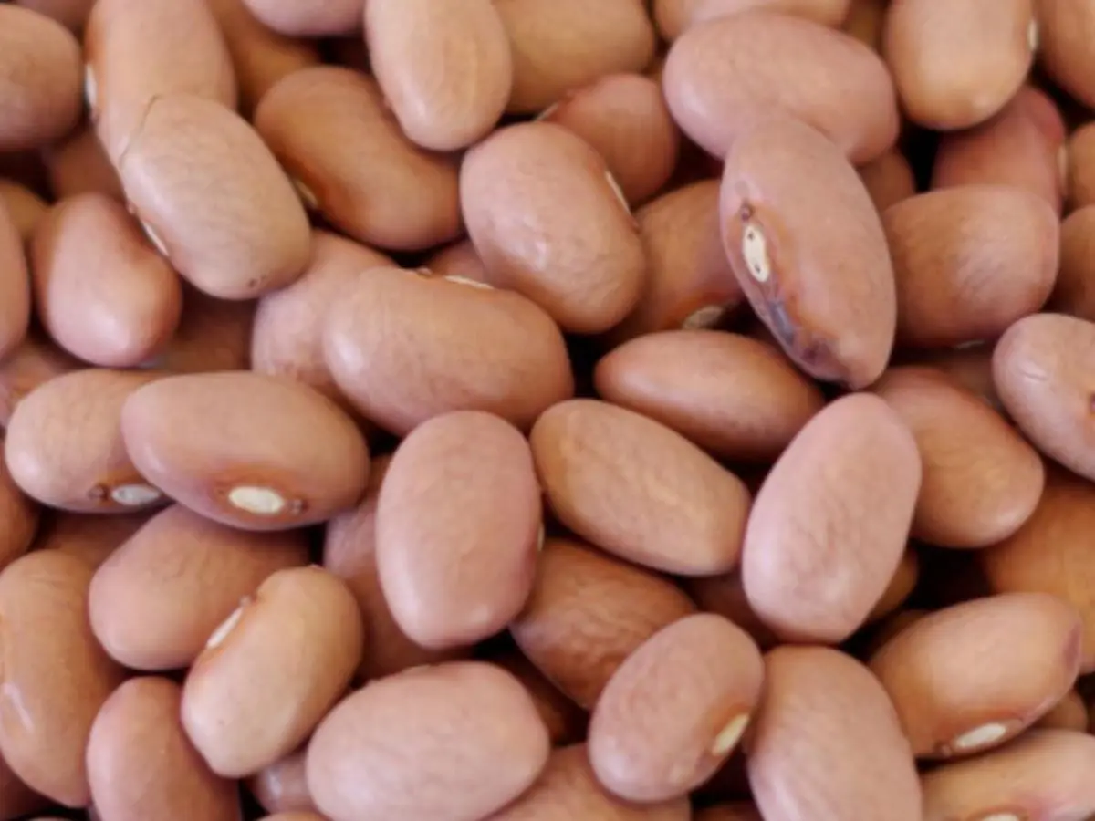 Beans, pink, Mature seeds, cooked, with salt