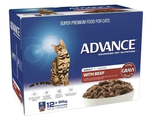 Beef 1 cat.