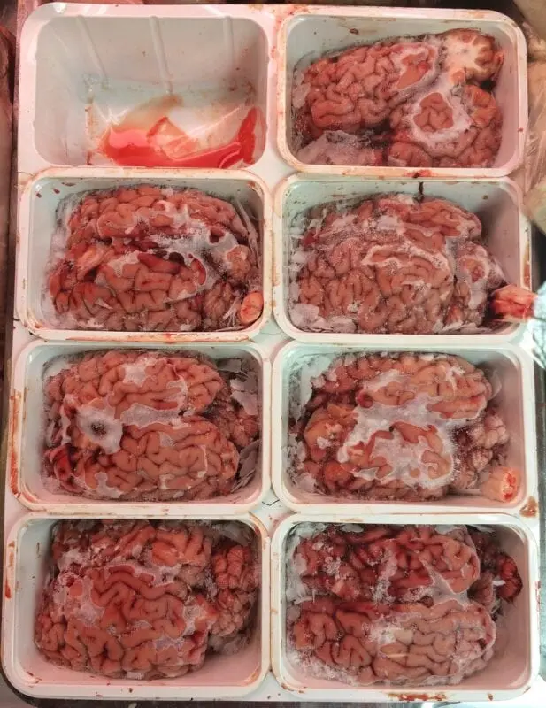 Beef brains