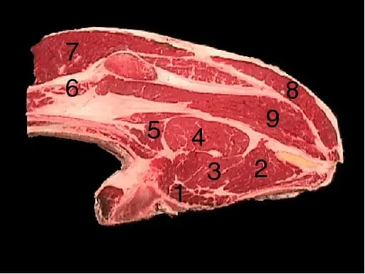 Beef, subscapularis, meat only