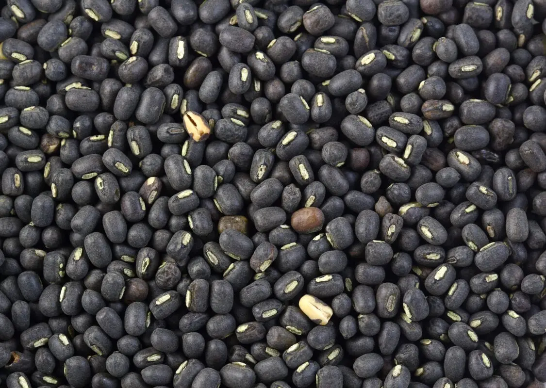 Mung black (urd, or Mai), boiled without salt