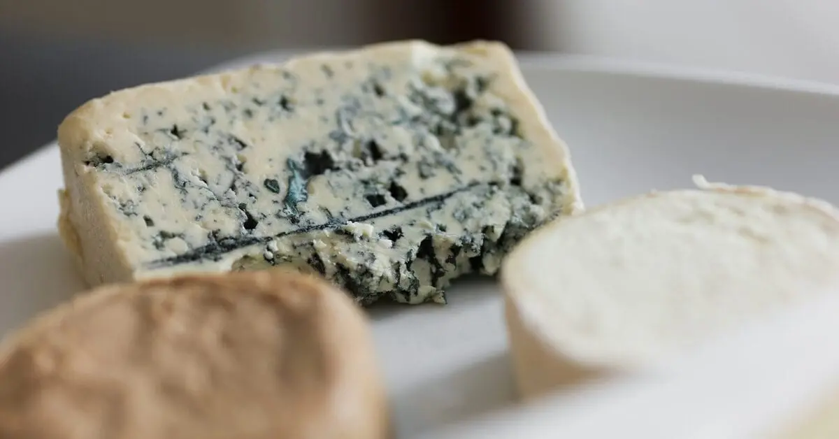 Blue cheese with mold, mdzh 50% dry in-ve