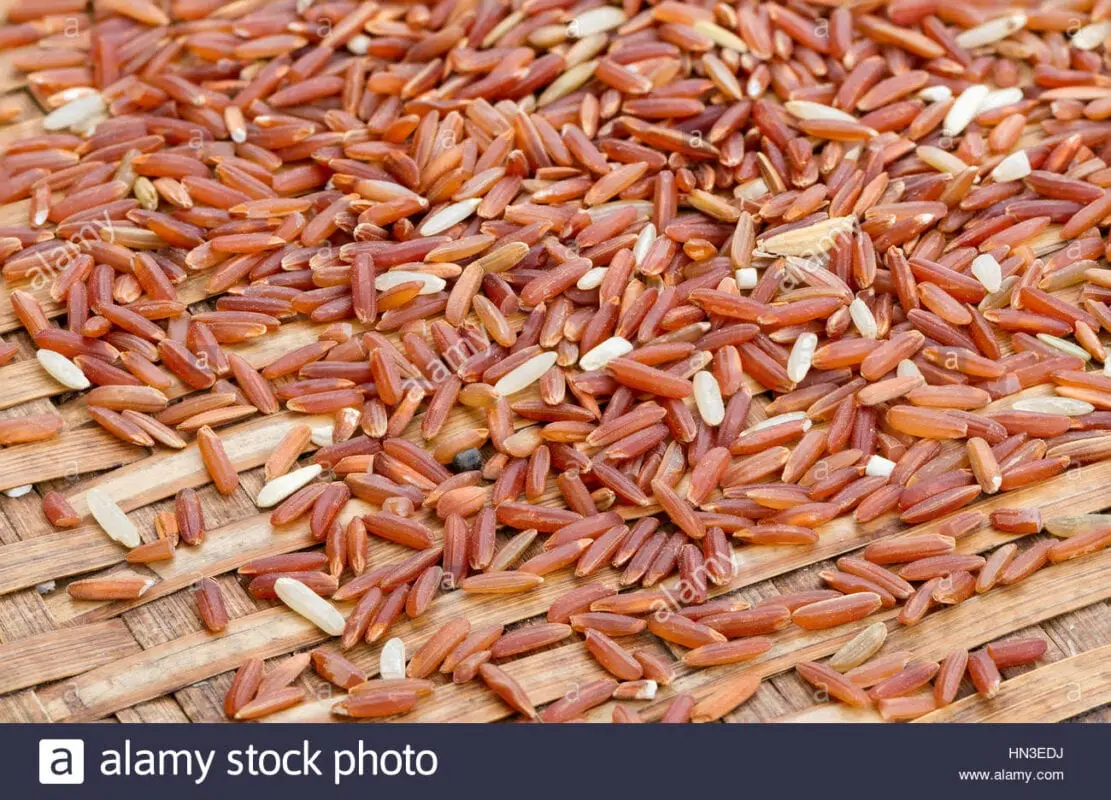 Brown rice (unpolished) long-grain, dry