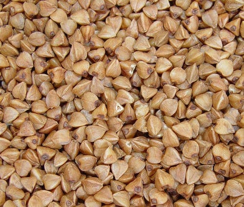 Buckwheat, grain