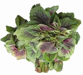 Calorie Amaranth leaves, boiled, no salt. Chemical composition and nutritional value.