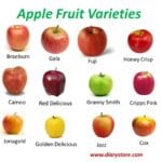 Fruits calories and nutrients