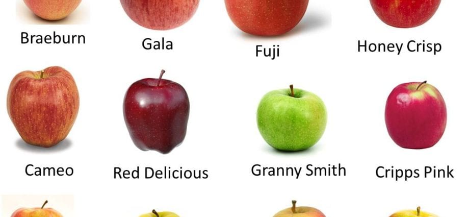 Kalori-omena-gaala. Kemiallinen koostumus ja ravintoarvo.