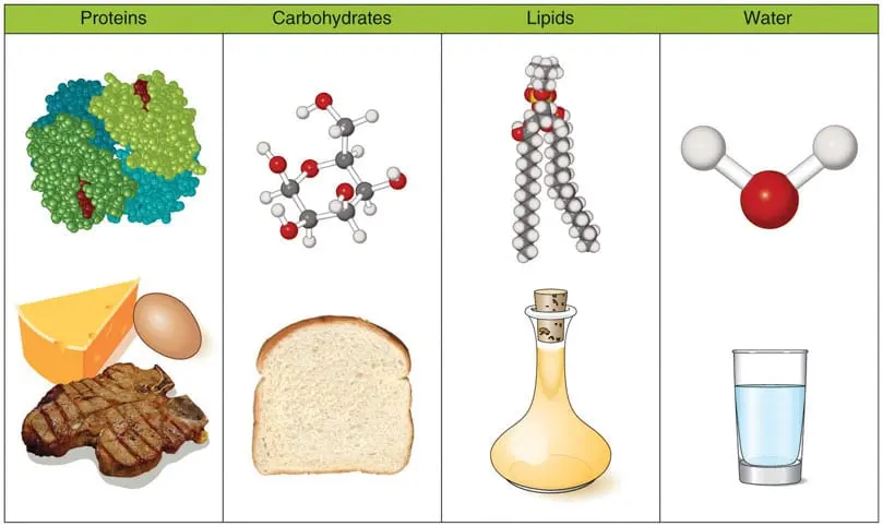 Calorie Buns capital. Chemical composition and nutritional value.