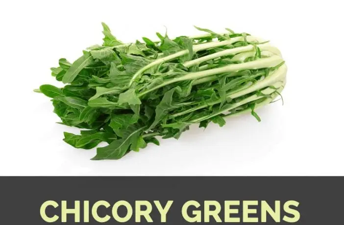 Calorie Chicory leaves, raw. Chemical composition and nutritional value.