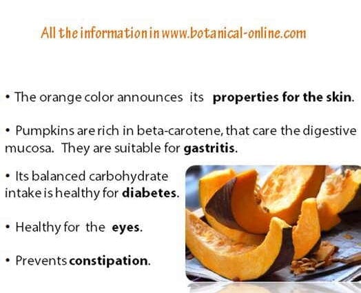 カロリー量どんぐりかぼちゃ。 化学組成と栄養価。