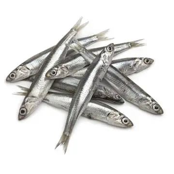 Calorie content Anchovy European, raw. Chemical composition and nutritional value.