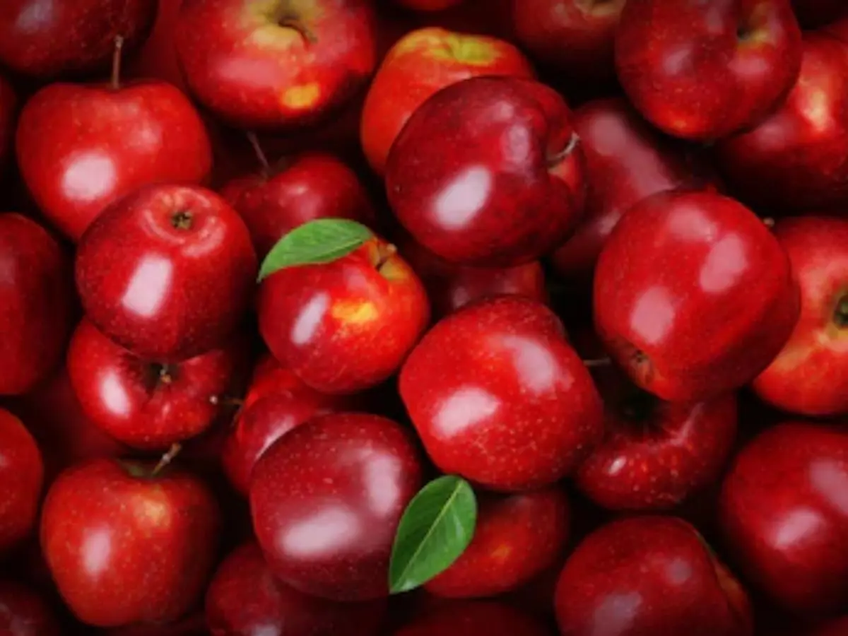 Calorie content Apple Red Delicious. Chemical composition and nutritional value.