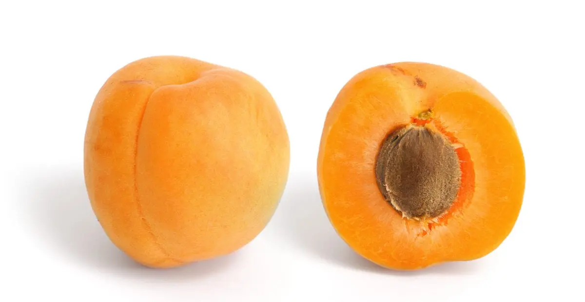 Calorie content Apricots without peel, canned in water. Chemical composition and nutritional value.