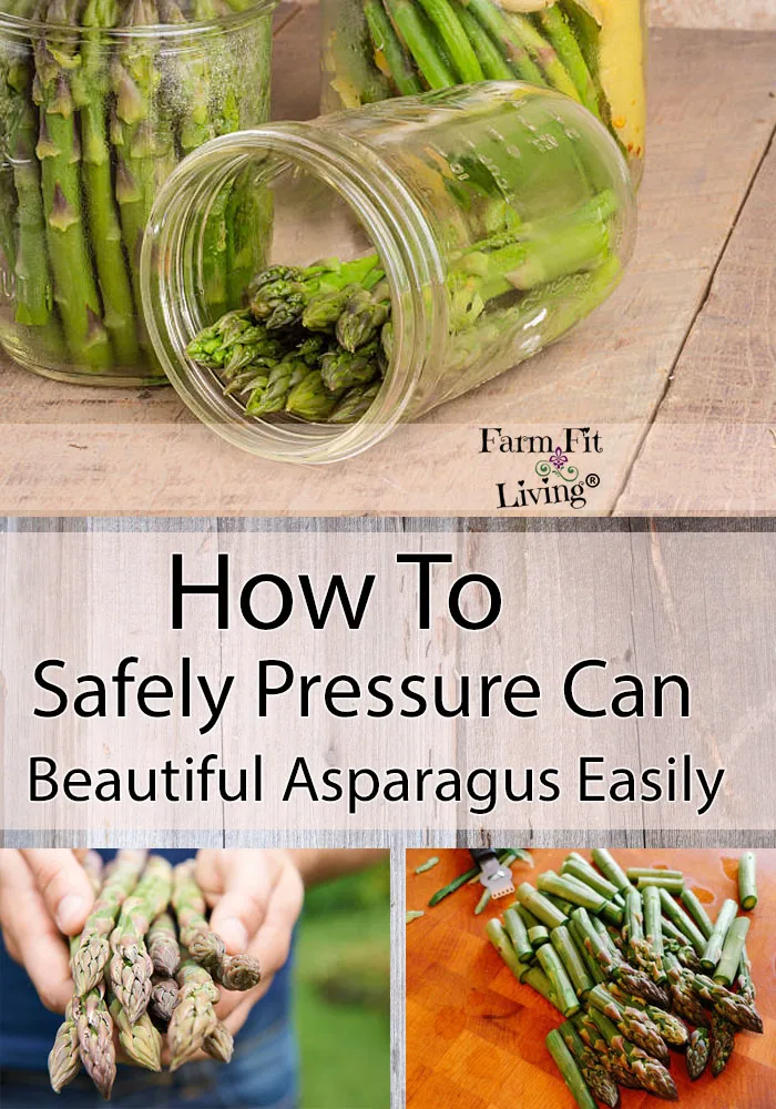 Asparagus, စည်သွတ်, စံထုပ်ပိုးကယ်လိုရီအကြောင်းအရာ။ ဓာတုဖွဲ့စည်းမှုနှင့်အာဟာရတန်ဖိုး။