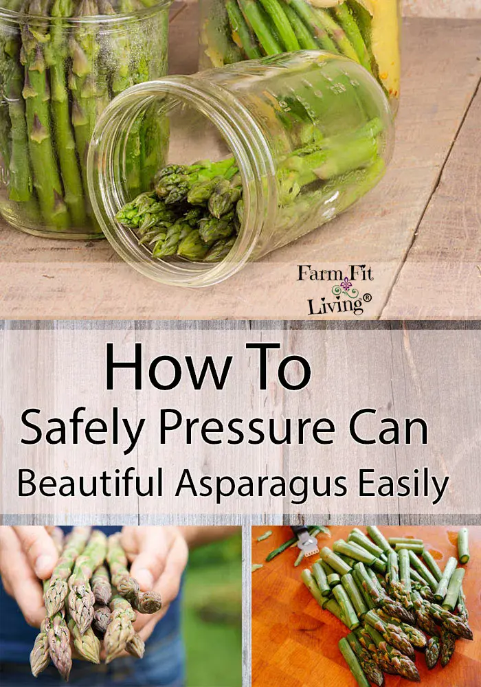 Calorie content Asparagus, canned, standard packaging. Chemical composition and nutritional value.