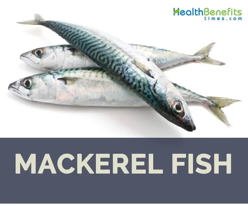 Calorie content Atlantic mackerel cold smoked. Chemical composition and nutritional value.