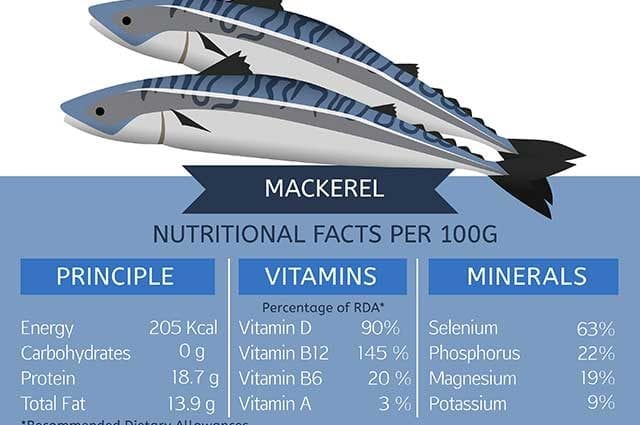 Calorie content Atlantic mackerel in oil. Canned food. Chemical composition and nutritional value.