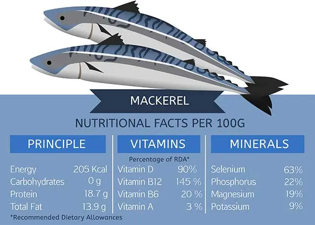 Calorie content Atlantic mackerel in oil. Canned food. Chemical composition and nutritional value.